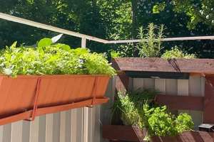 Helle 2,5-Zimmer Hochparterre-Wohnung in Kiel-Wik mit Balkon – Die vollständige Adresse der Immobilie erhältst du vom Anbieter., 24106 Wik, Kiel – Vorschaubild 1