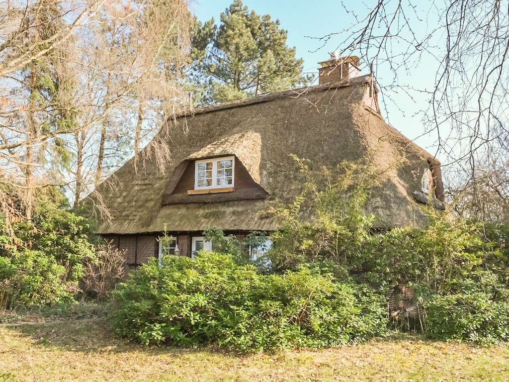 Immobilie in Seedorf - Natur, Charme & Weitblick - Reetdachhaus am Feldrand - Bild 0
