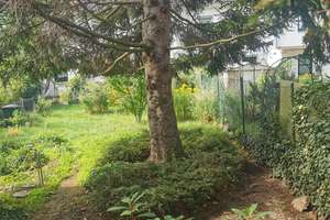 2 Zimmer Wohnung in Darmstadt-West mit Garten – Die vollständige Adresse der Immobilie erhältst du vom Anbieter., 64295 Darmstadt-West, Darmstadt – Vorschaubild 3