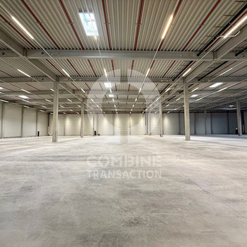 Hallenfläche mit ca. 7000 m² zu vermieten - combine Transaction