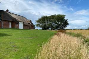 Resthof in herausragender Lage – Die vollständige Adresse der Immobilie erhältst du vom Anbieter., 25924 Rodenäs – Vorschaubild 1