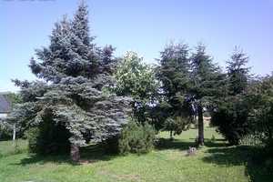 Wunderbarer Ausblick, herrliche Ruhe & Platz: Sofort beziehbares Anwesen zwischen Wäldern und Seen – Dahme-Spreewald (Kreis) – Vorschaubild 21