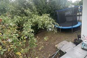3,5-Zimmer-Wohnung in Köln-Pesch – 50767 Pesch, Köln – Vorschaubild 8