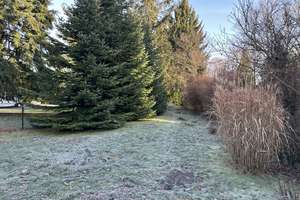 Property thumbnail 28