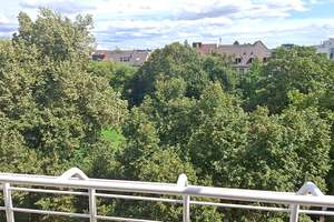 Zentral²  B4- ruhig am Schillerplatz - Klimaanlage - Tiefgaragenstellplatz – 68159 Innenstadt/Jungbusch, Mannheim – Vorschaubild 18