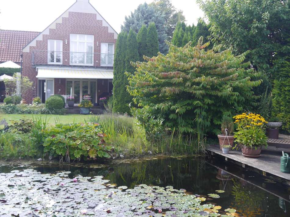 Gartenteich zum Steg