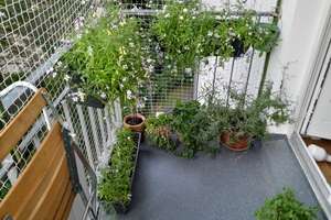 Property thumbnail 5