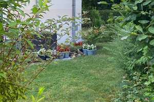 Exklusive möblierte 2-Zi-Gartenwohnung nahe Großem Garten – Firmenmietvertrag / Mitarbeiterwohnung – Rudolf Mauersbergerstr. 3, 1309 Striesen-Süd, Dresden – Vorschaubild 4