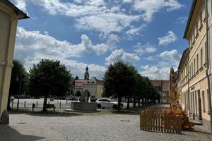 NEUER PREIS - Historisches EFH mit Gewölbekeller, Grundstück in Ostritz - sanierungsbedürftig – Gerhart-Hauptmann-Str. 2, 2899 Ostritz – Vorschaubild 9