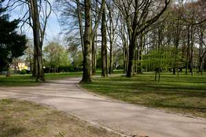 Obere Südstadt - wo man gerne wohnt – Die vollständige Adresse der Immobilie erhältst du vom Anbieter., 42119 Elberfeld, Wuppertal – Vorschaubild 8