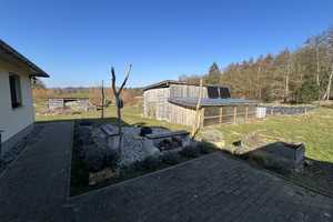 Gepflegter Bungalow mit 1 ha großem Grundstück zentral auf Rügen  – Rügen (Kreis) – Vorschaubild 5