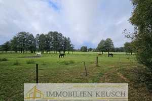 Preis deutlich reduziert ! Komfortables & mobiles Heim mit überdachtem Balkon - 48qm Tiny House in r – Rotenburg (Wümme) (Kreis) – Vorschaubild 21