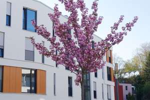 4 Zimmer Whg. mit EBK, 2 Bädern, Fußbodenheizung und Terrasse - ruhige und zentrale Lage. – An der Lingenmühle 4, 41061 Gladbach, Mönchengladbach – Vorschaubild 24