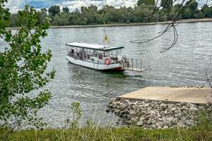 Property thumbnail 32