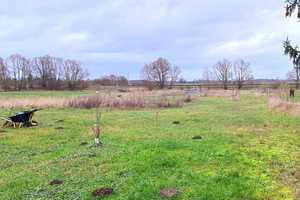 NEUER PREIS |PROVISIONSFREI | Großzügiger Vierseitenhof auf 15 000m² Grundstück mit viel Potential – Oberhavel (Kreis) – Vorschaubild 10