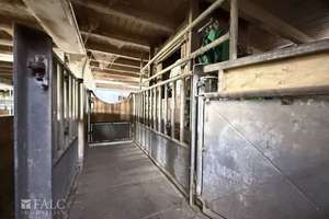 ***Mehrfamilienhaus & Exklusiver Pferdehof mit Reitanlage auf ca 21.000 m² Grundstück*** – Die vollständige Adresse der Immobilie erhältst du vom Anbieter., 37574 Einbeck – Vorschaubild 19