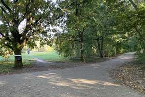 Property thumbnail 38