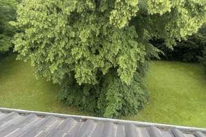 Kapitalanlage oder neues Zuhause? Dachgeschosswohnung in begehrter Flora-Lage – Die vollständige Adresse der Immobilie erhältst du vom Anbieter., 50735 Riehl, Köln – Vorschaubild 9