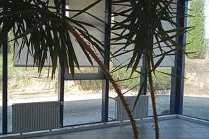 Wohnhaus auf großem Grundstück mit Werkstatt-/Lager- und Bürogebäuden – Die vollständige Adresse der Immobilie erhältst du vom Anbieter., 56357 Nochern – Vorschaubild 60