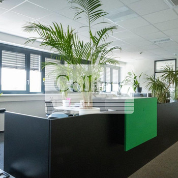 Multifunktionale Büroflächen