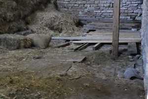 Einfamilienhaus mit Garage und Nebengebäuden (viele Ausbaumöglichkeiten) in Ruhiger Lage mit Bauland – Euskirchen (Kreis) – Vorschaubild 25
