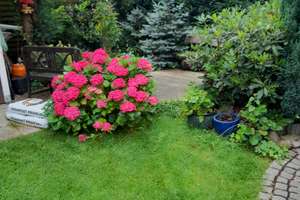 Property thumbnail 25