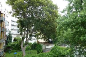 3 Raum- Wohnung - hochwertig saniert - mit großem Balkon – Wilhelm Raabe Straße 18, 39108 Stadtfeld Ost, Magdeburg – Vorschaubild 6