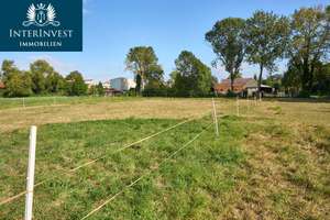 Charmanter Landsitz (Pferdehof) mit großem Grundstück und viel Ausbaupotential – Die vollständige Adresse der Immobilie erhältst du vom Anbieter., 39221 Bördeland – Vorschaubild 9