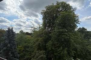 Großzügige 2-Zimmer-Wohnung am Dreieichpark-mit Balkon, Aufzug und modernen Badsanierung. – 63067 Ledermuseum, Offenbach am Main – Vorschaubild 16