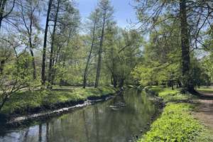 Attraktive Kapitalanlage nahe Schlosspark & Brosepark – Die vollständige Adresse der Immobilie erhältst du vom Anbieter., 13156 Niederschönhausen, Berlin – Vorschaubild 13