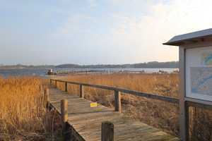 Wassergrundstück mit Doppelhaus, Einliegerwohnung und Gewerbeeinheit – Schleswig-Flensburg (Kreis) – Vorschaubild 27