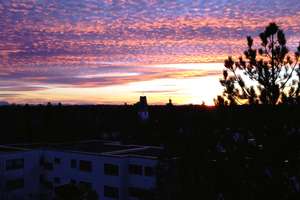 Ruhige 3,5-Zimmer-Wohnung in Hadern mit traumhaftem Ausblick – Die vollständige Adresse der Immobilie erhältst du vom Anbieter., 81375 Neuhadern, München – Vorschaubild 21