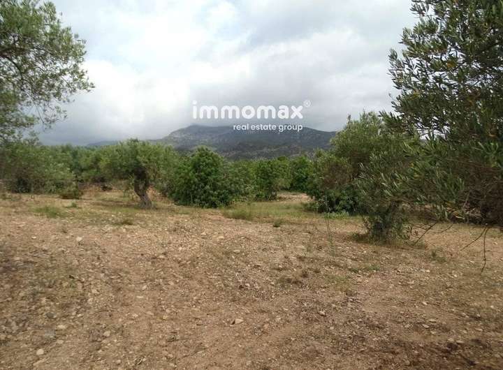 title image