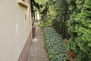 Einfamilienhaus mit Gestaltungsmöglichkeiten – Wolfsbergerstr. 100, 12623 Mahlsdorf, Berlin – Vorschaubild 20