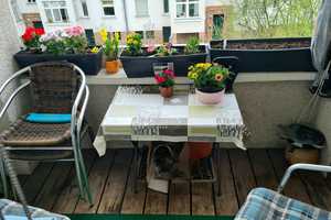 Property thumbnail 10