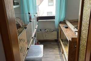 Schöne 4 Zimmerwohnung in Misburg (Nähe Meyers Garten) – Hannover – Vorschaubild 21