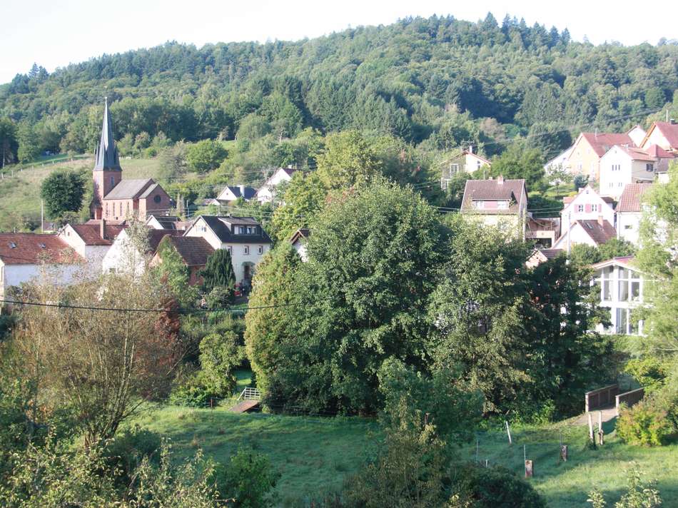 Ausblick Esszimmer