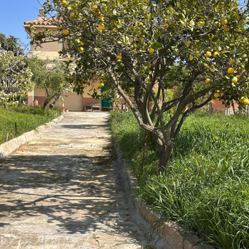 Haus zum Verkauf in Vistabella mit Grundstück und vielfältigen Möglichkeiten