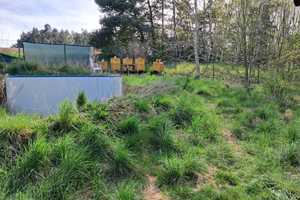 Landhaus für Gartenfreunde und Tierhalter! – Oder-Spree (Kreis) – Vorschaubild 41