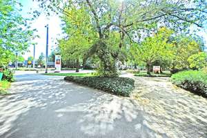 Modern sanierte 2-RW* 1.OG* EBK* zwei Balkone* Bad mit Wanne* Aufzug* TG-SP* barrierefrei* zentral* – Schandauer Straße 23d, 1309 Striesen-West, Dresden – Vorschaubild 23