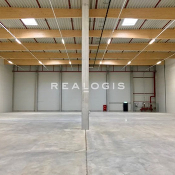 Neubau mit ca. 4.000 m² Logistik- und Bürofläche zu vermieten