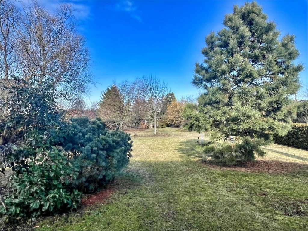 Immobilie in Hohenleipisch - Familienidyll mit großem Grundstück  - Bild 2