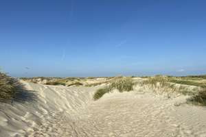 Exklusiv wohnen - ideales Feriendomizil vor Sylt und Dänemark! – Die vollständige Adresse der Immobilie erhältst du vom Anbieter., 25923 Humptrup – Vorschaubild 45