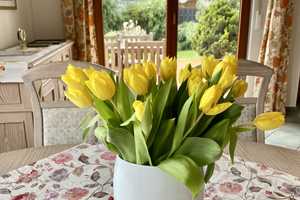 Property thumbnail 9
