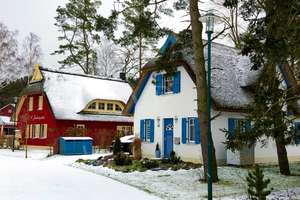 Strandnahes, reetgedecktes Refugium am Dünenwald:   1 Doppelhaus und 1 Ferienhaus in Bestlage – Dünenwald 41,44 & 44, 18551 Glowe – Vorschaubild 21