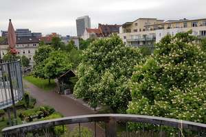 Gefragte 2,5 ZKB Maisonette-Galeriewohnung, Innenstadt-West , im Grünen – Sophienstraße 94, 76133 Weststadt, Karlsruhe – Vorschaubild 19