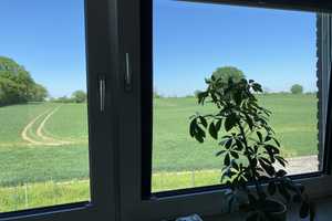 Doppelhaushälfte in ruhiger Feldrandlage – Rendsburg-Eckernförde (Kreis) – Vorschaubild 15