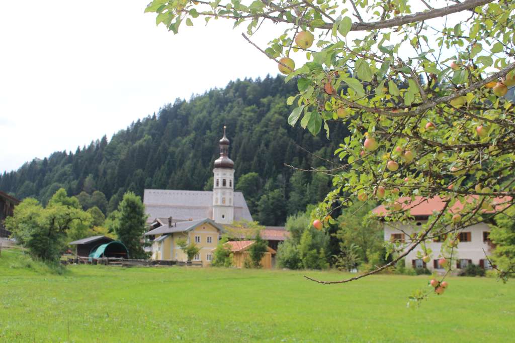Immobilie in Aschau im Chiemgau - Gemütliches Feriendomitzil in Sachrang - Bild 2