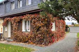 Neuer KP----DAS GLÜCK hat ein ZUHAUSE! -REH Bj.1921- in beliebter Wohnlage- Garage & großem Garten – Damaschkestraße 12, 8529 Plauen – Vorschaubild 3