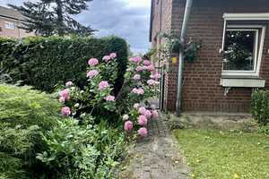 "Traumhaus in Nettetal: Hochwertige Eleganz auf Erbpachtgrundstück" – Viersen (Kreis) – Vorschaubild 29